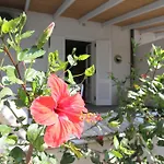 Sea Rose Appartement *